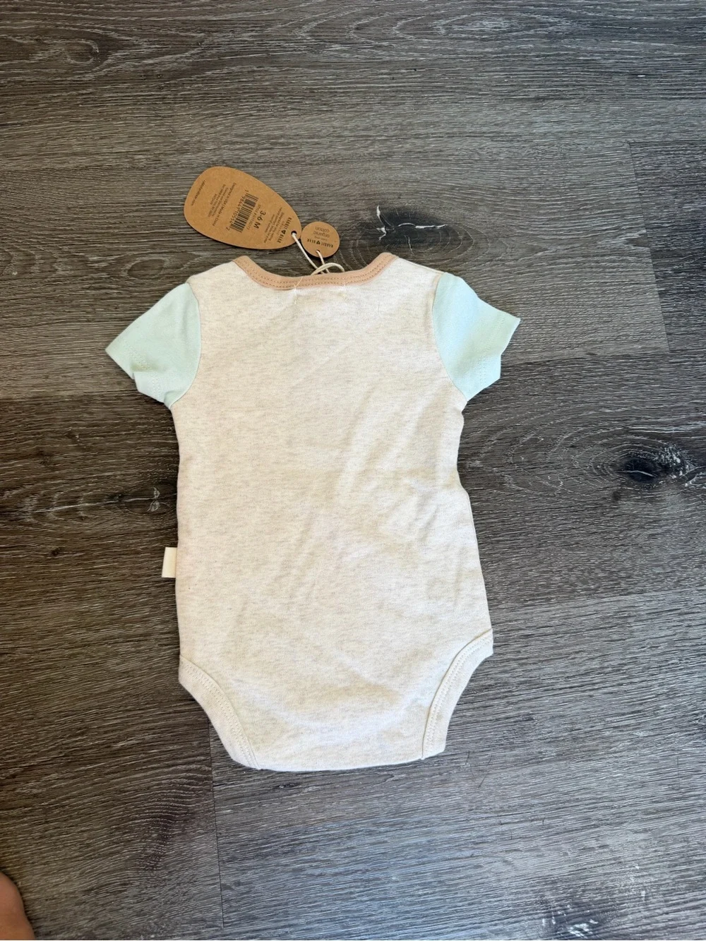 Rabbit & Bear Organic Cotton Baby Bodysuit - Cream with Mint Pocket Accent